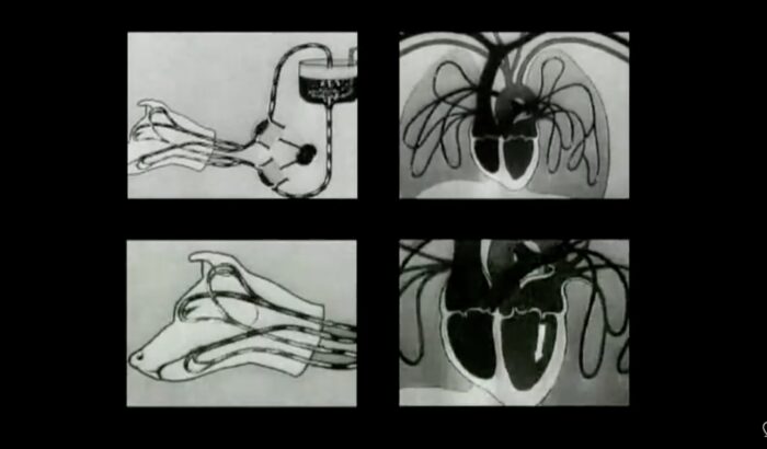 [machina] – Beton Planet